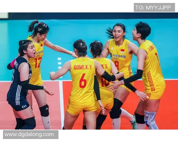 赛后分析：上海排球队与武汉排球队实力对比及比赛亮点解析