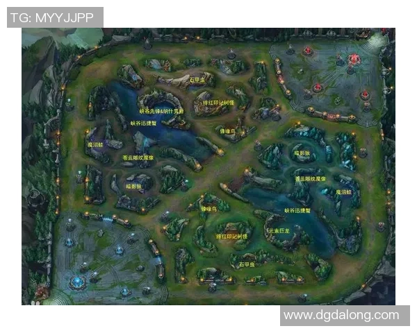 从零开始：英雄联盟节奏完全攻略