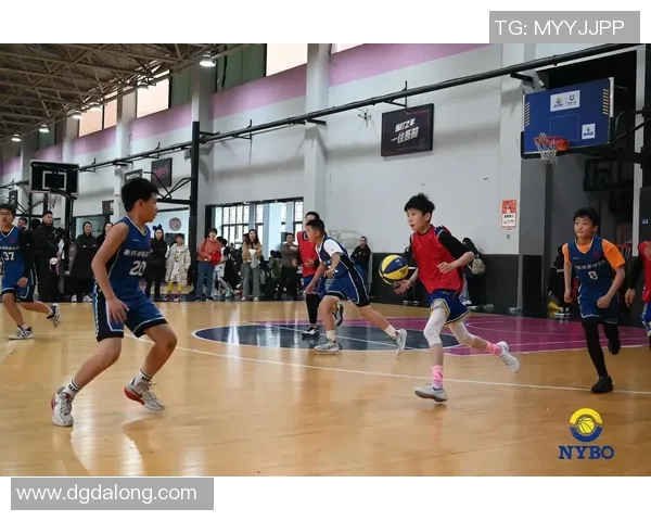 篮球纪实：记录武汉篮球队的成长故事