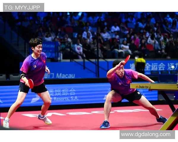 聚焦乒乓球：成都乒乓球队的灵活性话题